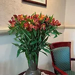 Apartahotel Karmel 3*