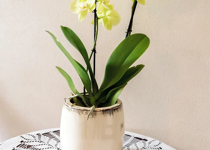 Aparthotel Karmel 3*