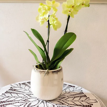 Aparthotel Karmel 3*