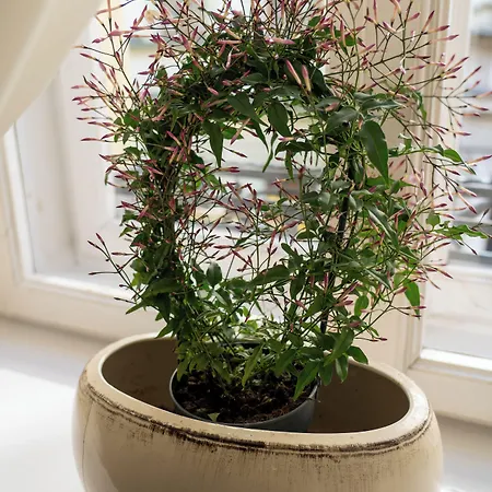 Karmel Aparthotel 3*