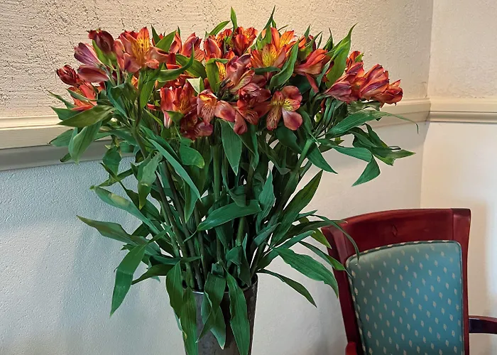 Appart hôtel Karmel 3*