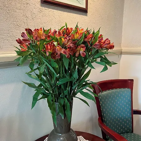 公寓式酒店 Karmel 3*